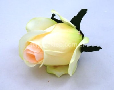 Róża F036 (12 szt) ivory