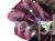 899a47eebe0a214ed472178fa936c383f386328d