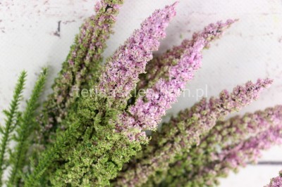 Wrzosy w bukiecie TIK120 (lt pink green)