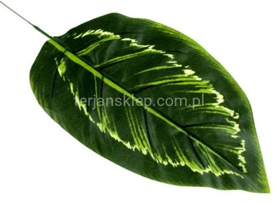 Liść cieniowany duży CL93 (12 szt)