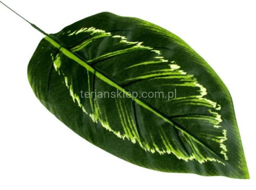 acd72dc377cd60a6f5860d57abee73e6fb7f9c48