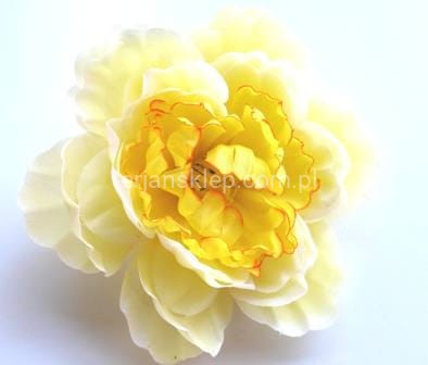 Peonia K089 (12 szt) vanilla orange