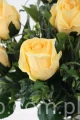 IMG_2745.JPG