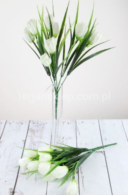 Bukiet krokusów CV07855 cream #1