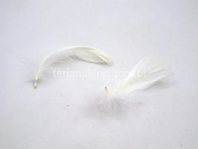 Piórka luzem (folia) biel/krem #001 15g