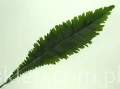 a5417c3092e0110161be68e24350d5667a8e4f08