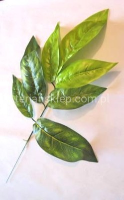 Gałąź z liśćmi RX029 (12 szt) zieleń jasna i ciemna