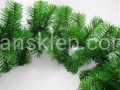 IMG_4478.JPG