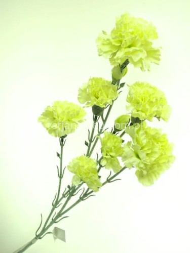 f0e445be7cc1e82ba995b4ede2fe4778c5fd6149