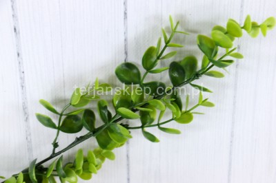 Eukaliptus gał. PS045 (12 szt) green 