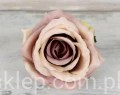 00000494.JPG