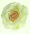 a30db2330d7aef3d249eeea1bbd7f2623e30a0df