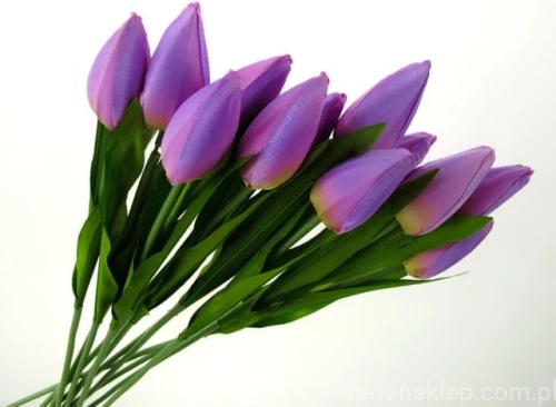 0b9dc3556cb5c0610a7ffd402144ce2faabed176