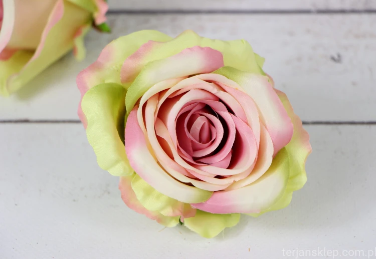 00005386.JPG