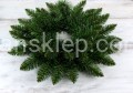 IMG_2646.JPG