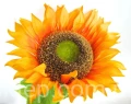 9db1fa8e6e3596e57d00d3698546a4e20fb610be