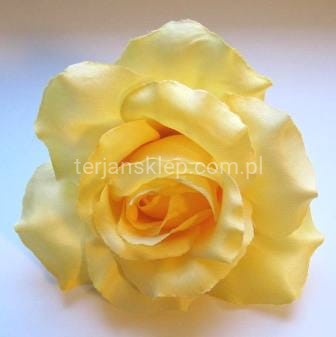 Róża wyrobowa F004 new yellow #42