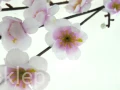 7dfc1102f229689e3d2aaef0323972420f56f33d
