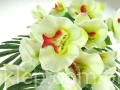c397dc37acfebbbb4aa31ccbb4c9bd109029ab4d