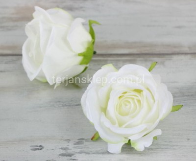 Róża wyrobowa MGHT (12 szt) white #8