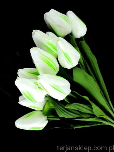 b9e67859f443b1fc1cf8daa08d4c9a72896f6210