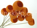 48f6ed453dcf099dcf1c045a674ac5e868254fd9