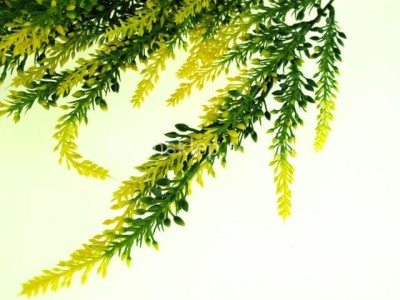 Szczaw plast. E145 (opak. 12 szt) ziel/żółty