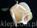 bcb51fa56dc60469674cb602b7ae4d244af0e0c7