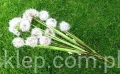 IMG_8190.jpg