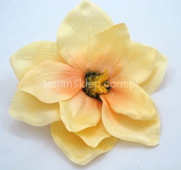 Magnolia C368 lemon #AK