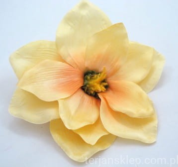 IMG_3307.JPG