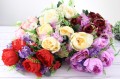 IMG_2977.JPG