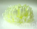 4f69fd16b57834182856f6676ab2cace18443fff