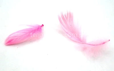 Piórka luzem (folia) j.róż #040 15g