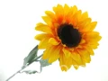 3fdcc451411dd5a48d35ef340ee6c28c7d3df269