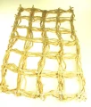 IMG_4843.jpg