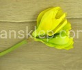 IMG_6023.jpg