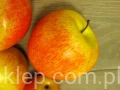IMG_5576.jpg