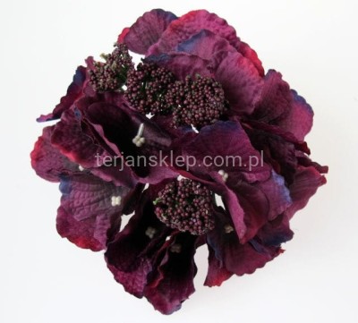 Hortensja L036 / J015 purple H30 (c.fiolet)