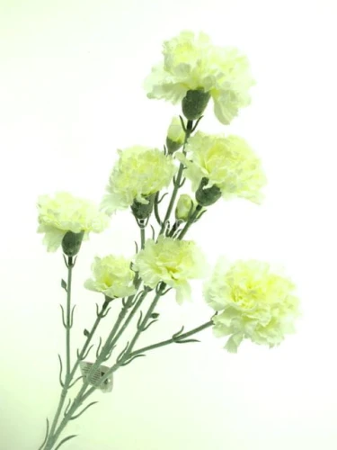 99724d508d1d6d3ede24d718336f8dc9e7465400
