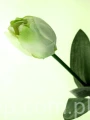 854d46abb3cfc2ec6a831525fb57f6ed9d655086
