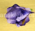IMG_5723.jpg