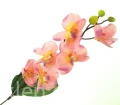 f59797f6a7a65bb0447ada2d4b6cf4fb723ce790