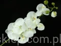 16ebd8671640c48317d33cdf2c898615bdadb386