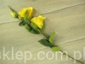 IMG_4220.jpg