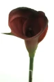 a4866d665045d49ad43e39a2343948a18da19706