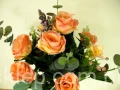 IMG_7349.jpg