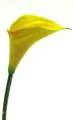 0c213b3d24c73d878ce30fc27227dd53f7299731