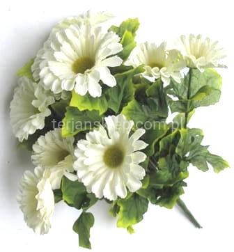 Bukiet margaretka C341 / B / E biel/krem