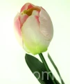 db750c19a8a3129c81460aa7397fcbbfb712c387